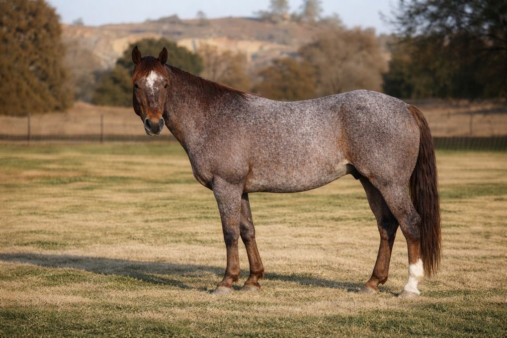 18 Remaining Metallic Cat x Peptoboonsmal