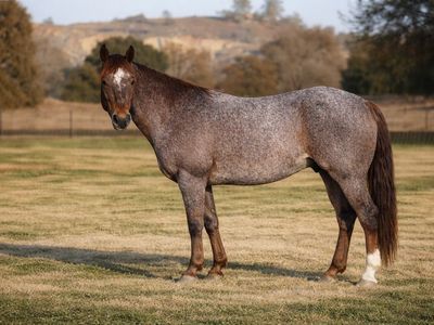 18 Remaining Metallic Cat x Peptoboonsmal