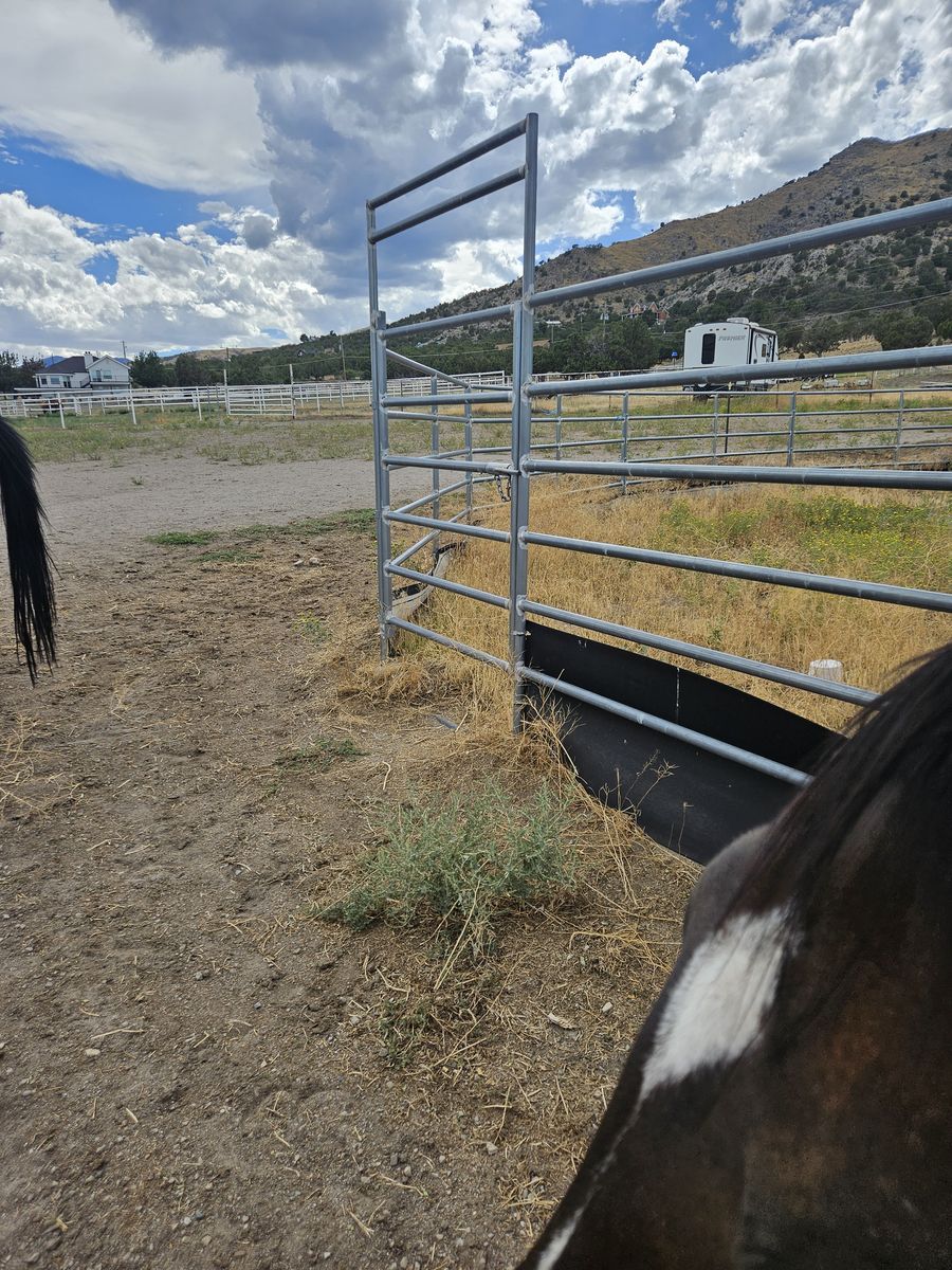 Round Pen