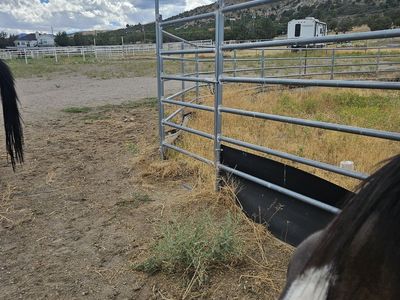 Round Pen