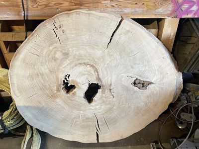 Large Wood Slab Live Edge, Natural Hardwood Slice, Unique Character Piece for Tabletop/Decor, 24-28" Diameter