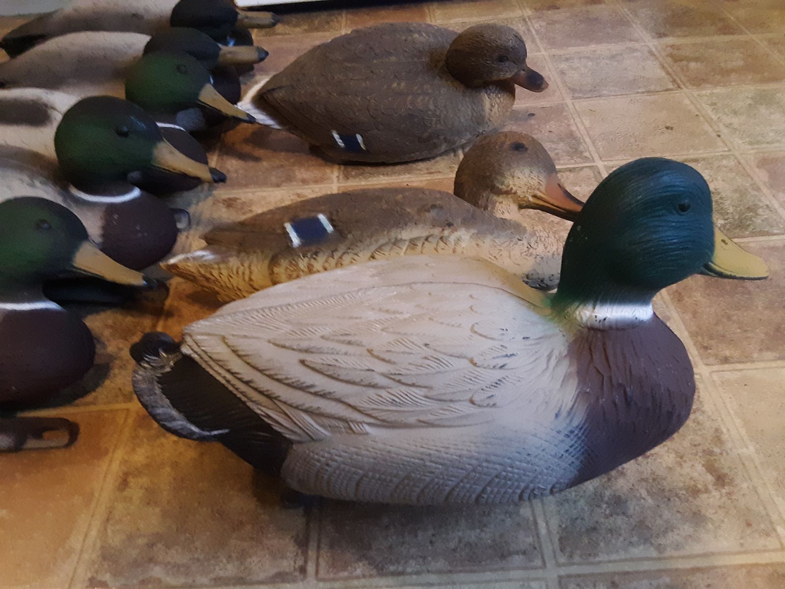 Duck Decoys Made in Italy 13 Total with Weight