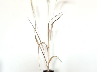 Signed Studio Art Pottery Bud Vase – Handcrafted Ceramic – Earth Tone – Minimalist Decor