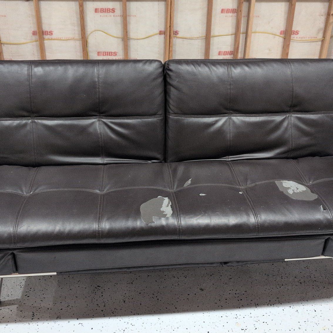 free Costco futon couch