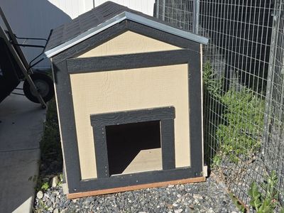 Dog House