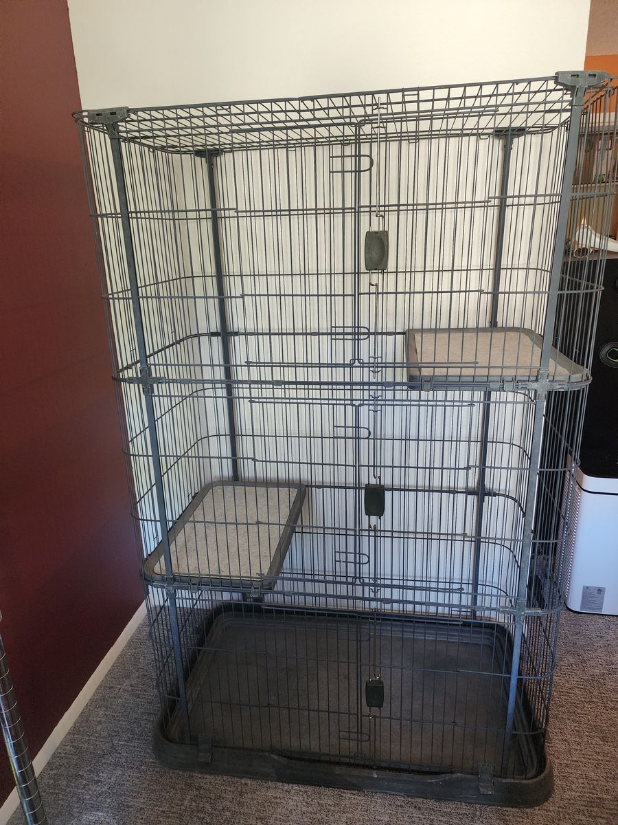 Outdoor Cat House