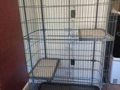 Outdoor Cat House