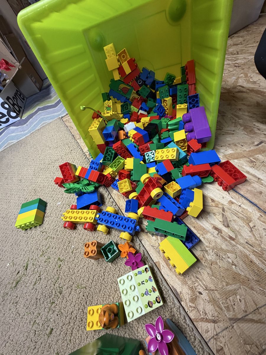 Duplo Lego Collection w/Dora the Explorer