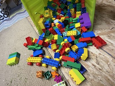 Duplo Lego Collection w/Dora the Explorer