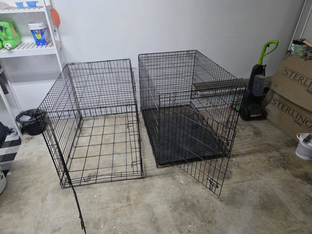 large dog kennels
