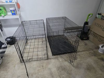 large dog kennels