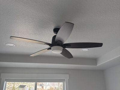 Ceiling Fan