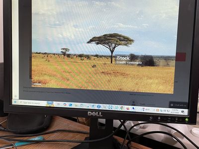 P2211HT 21.5 Inch LCD Monitor