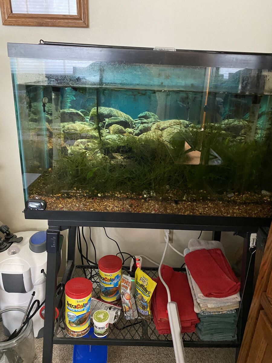 29 gallon aquarium for sale