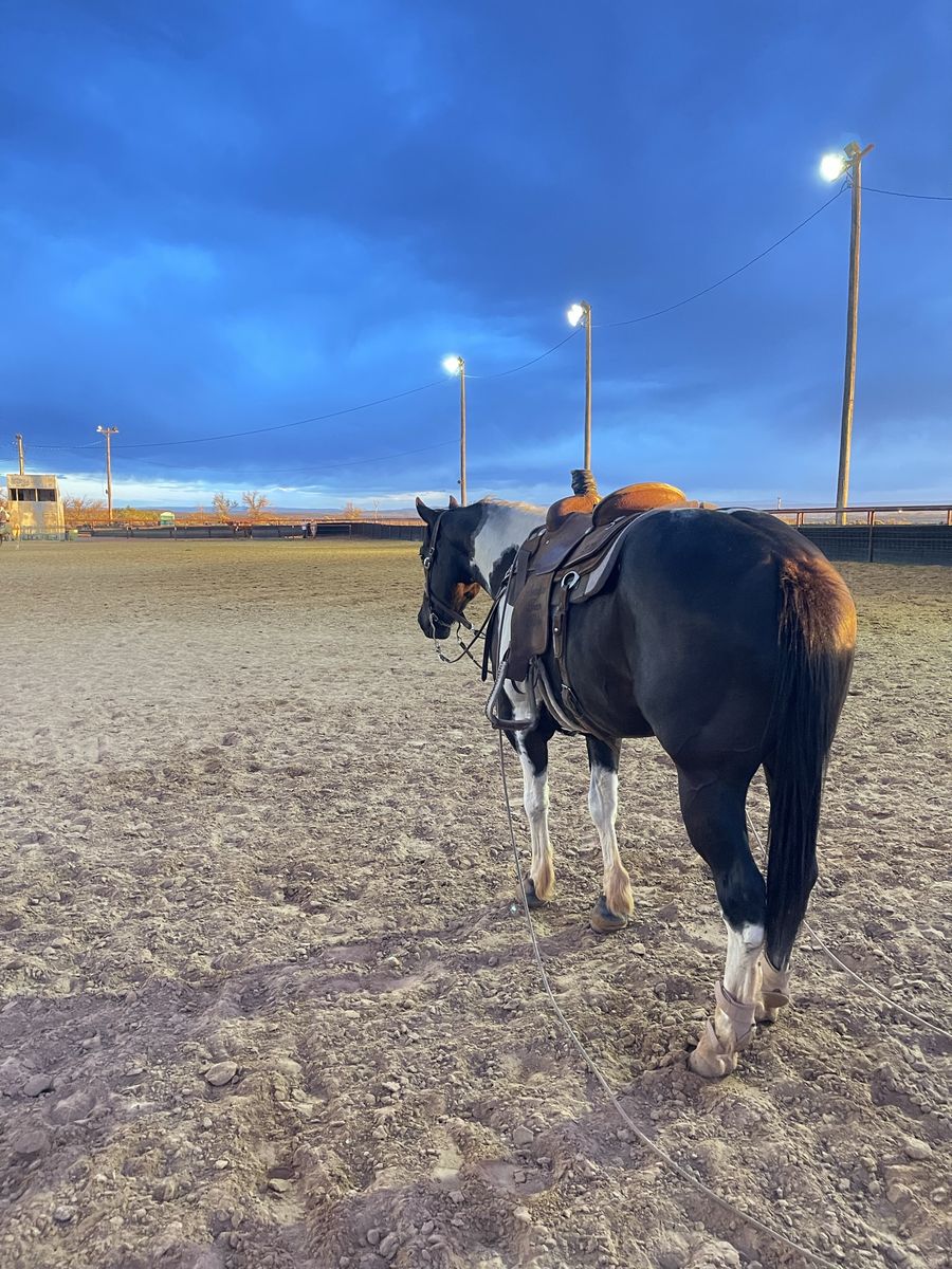 The horse you want