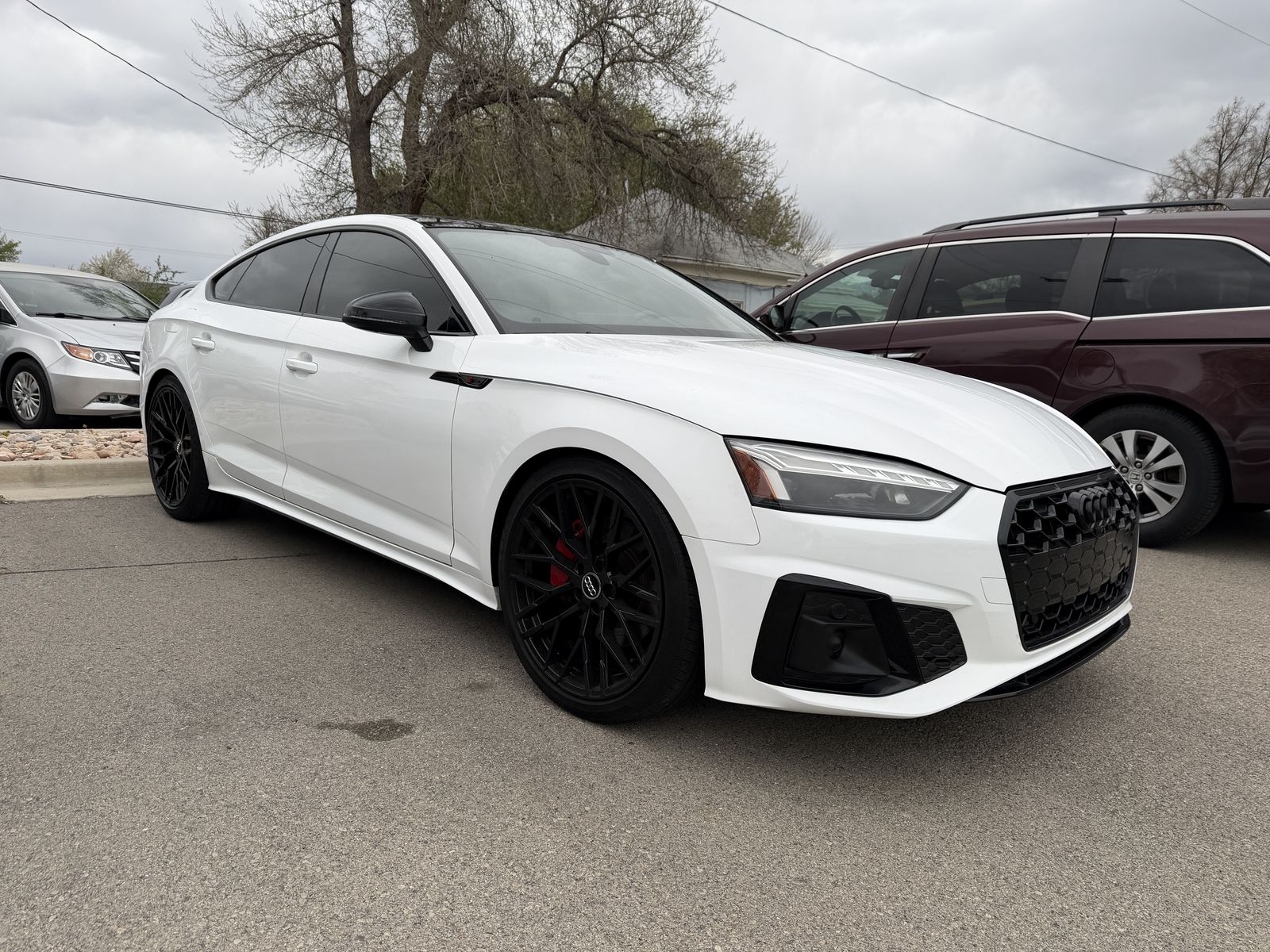 2023 Audi A5 quattro S line Prem Plus 45 TFSI