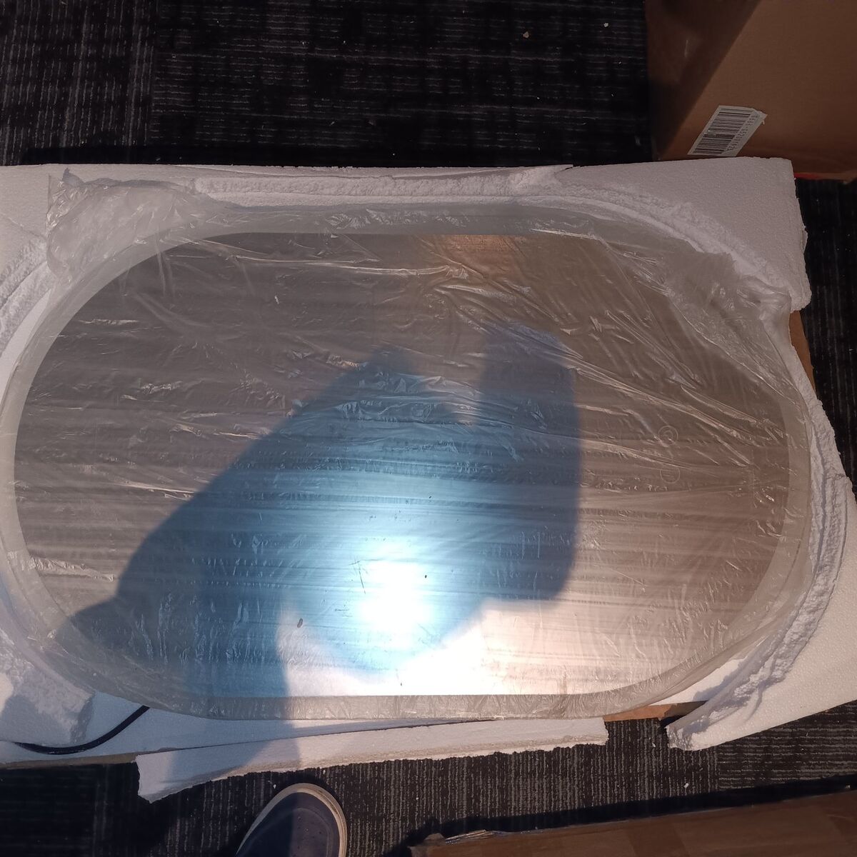 Baily 32 in. W x 20 in. H Oval Anti Fog Dimmable F