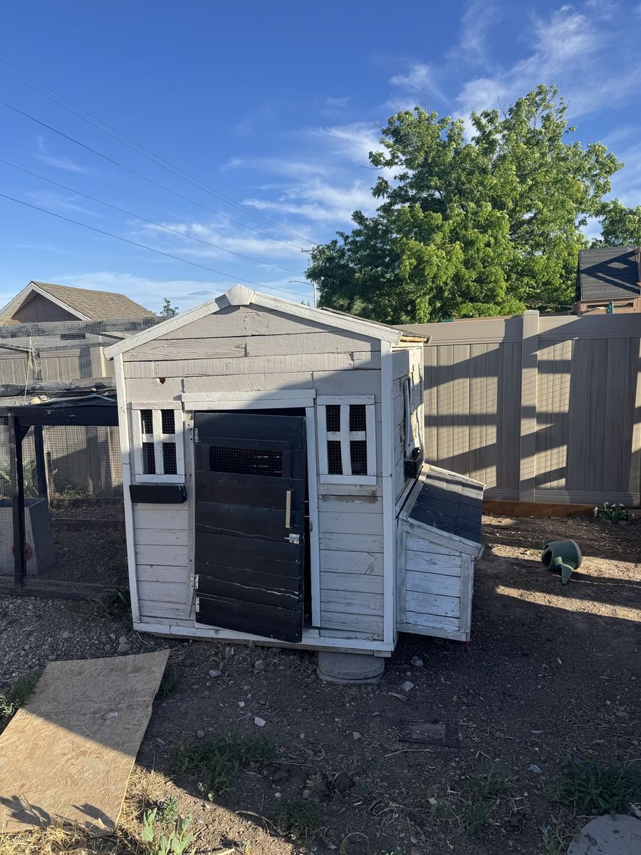Free chicken coop