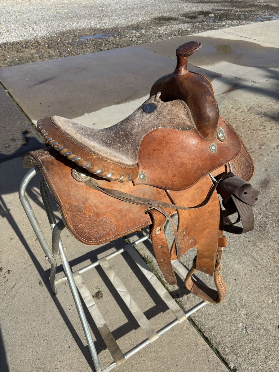 13 inch saddle