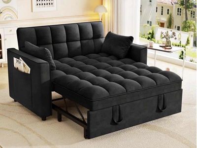 Pull out sleeper sofa