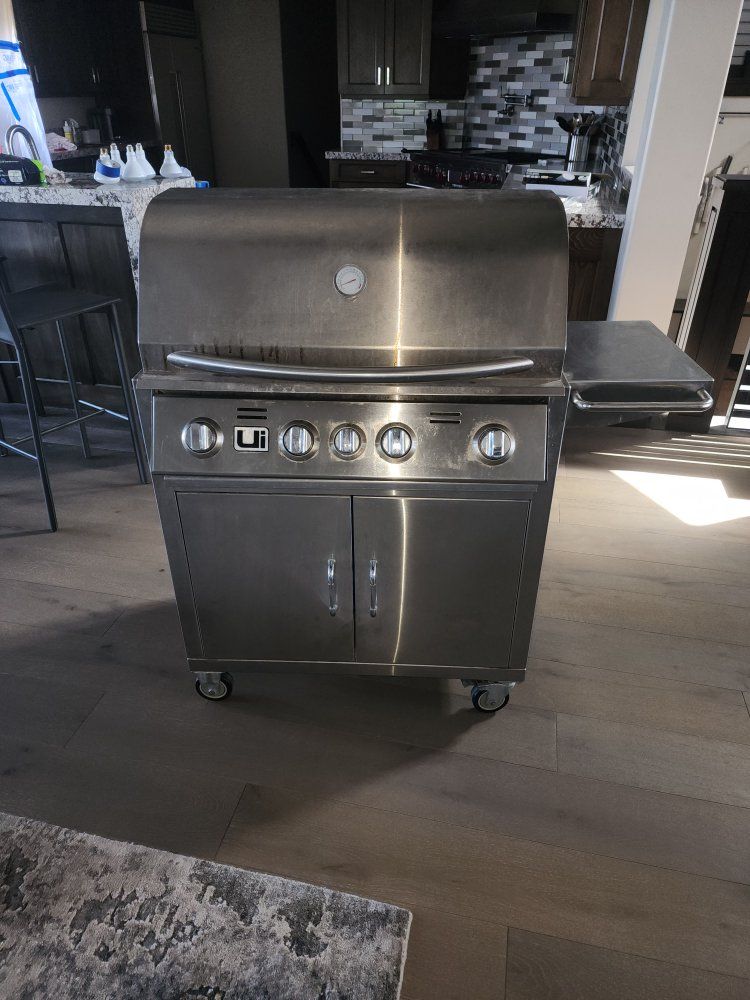 Urban Islands Stainless Steel Gas Grill with Rotisserie