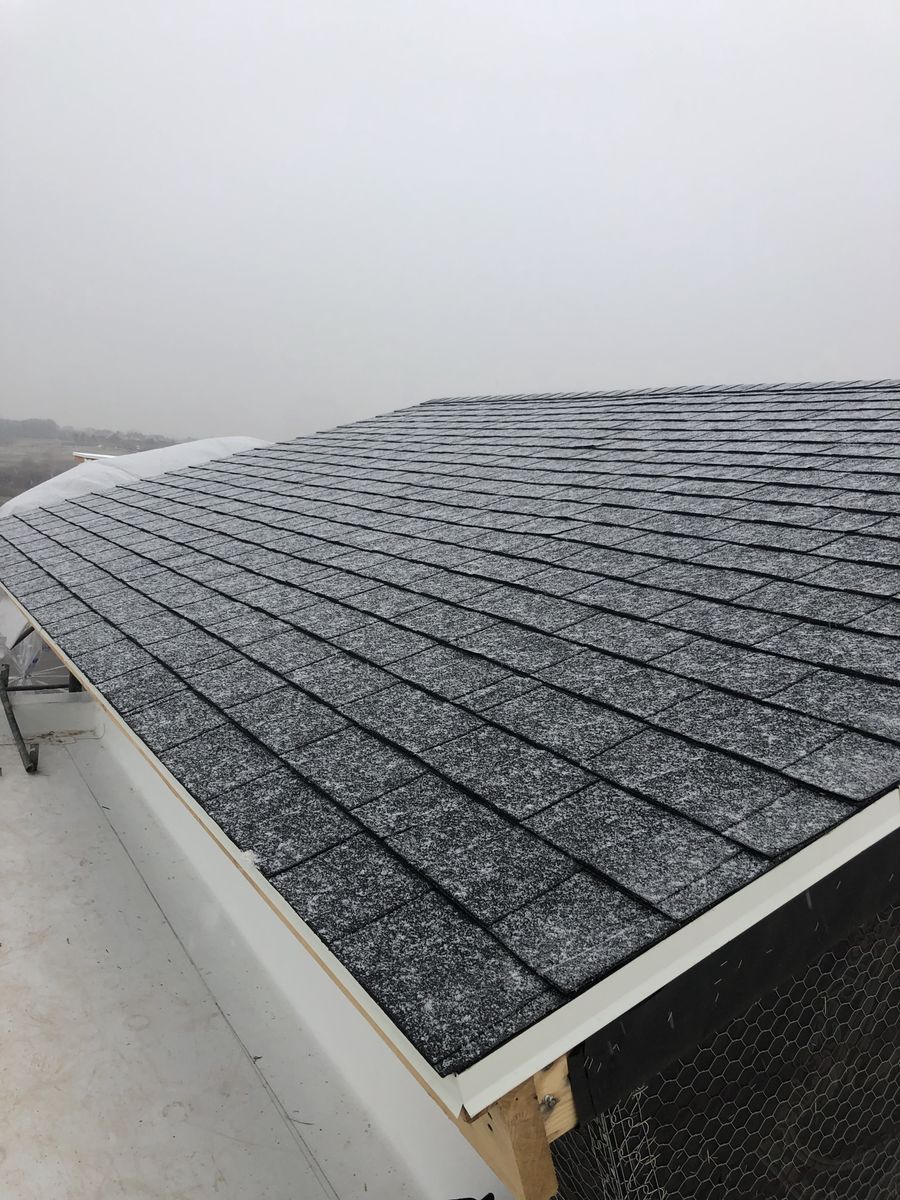 Need Roof!ing?