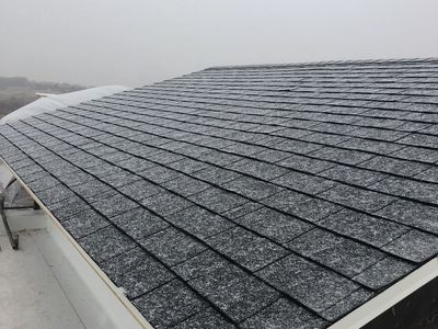 Need Roof!ing?