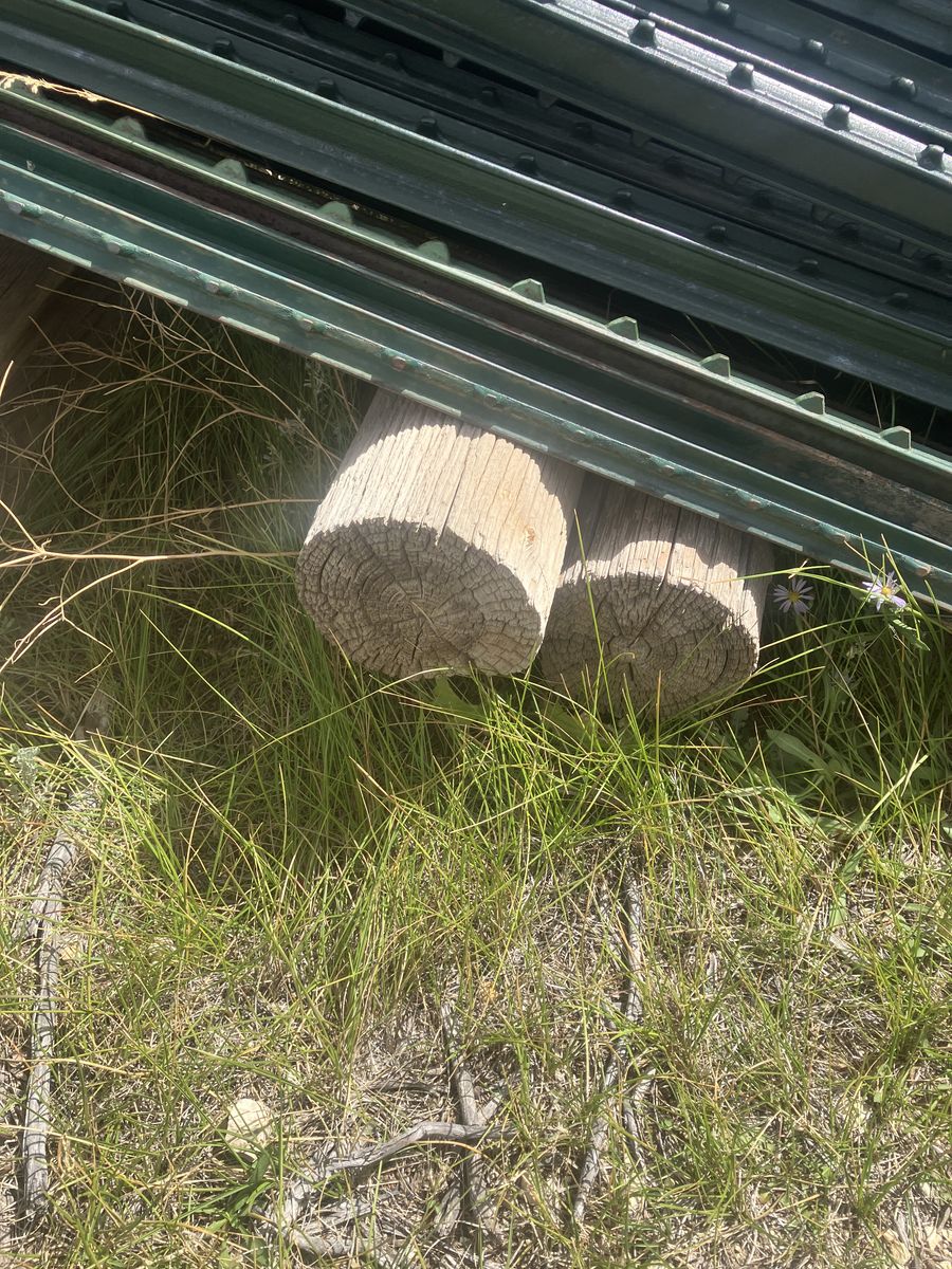Main image 7