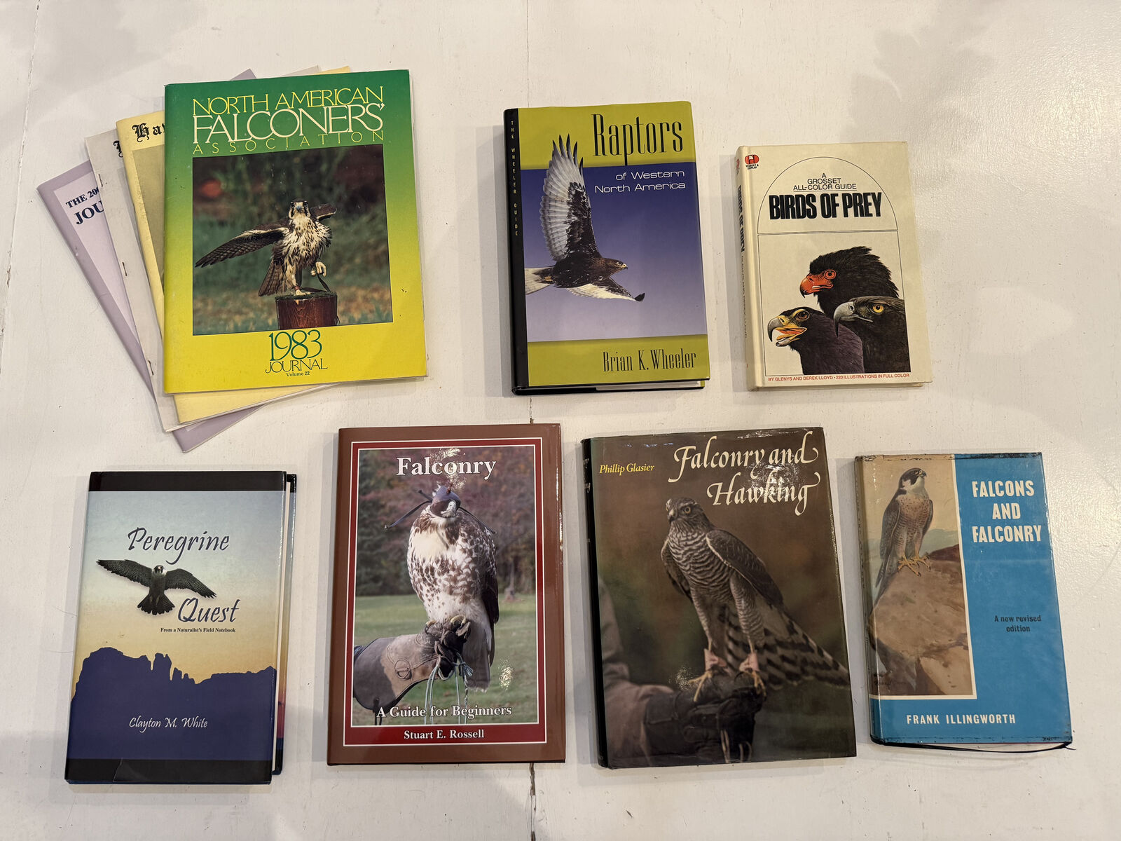 Falconry Books Hawking Falcon Hawk Birding Bird Birds