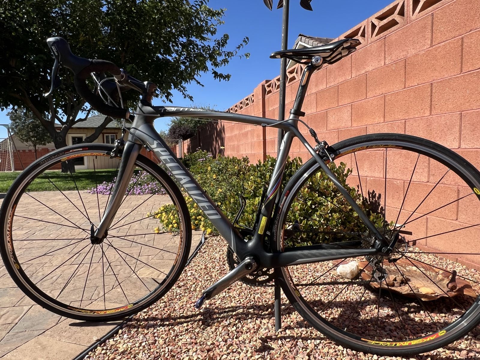 Specialized Tarmac Road Bike