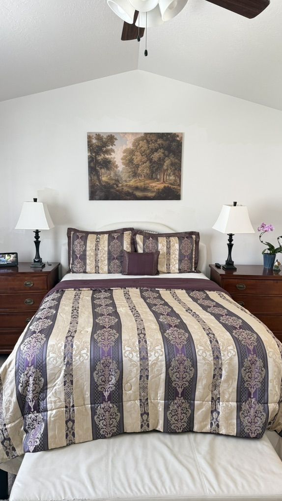 Queen Comforter Set