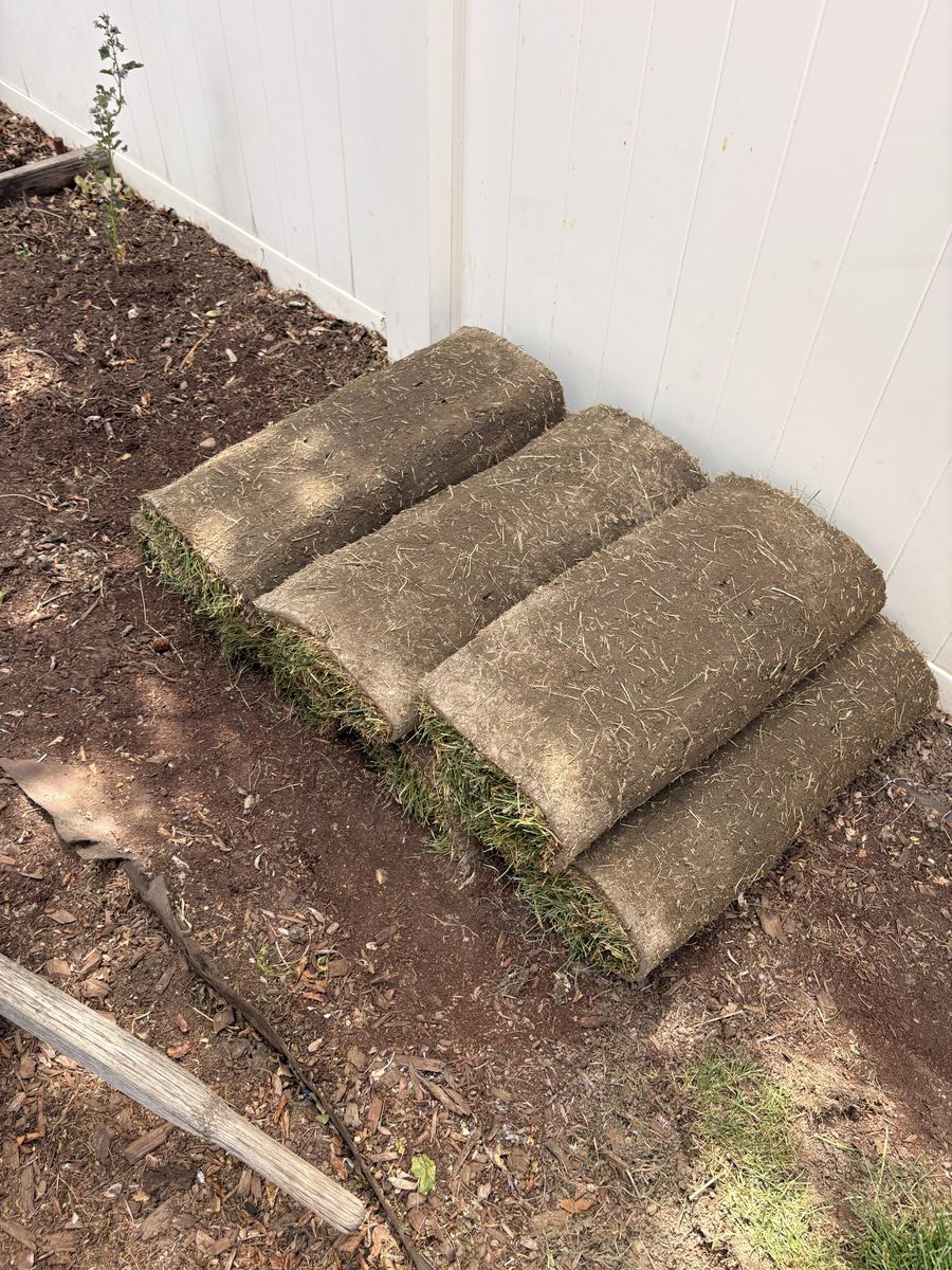 Kentucky bluegrass sod 70 sq. ft.