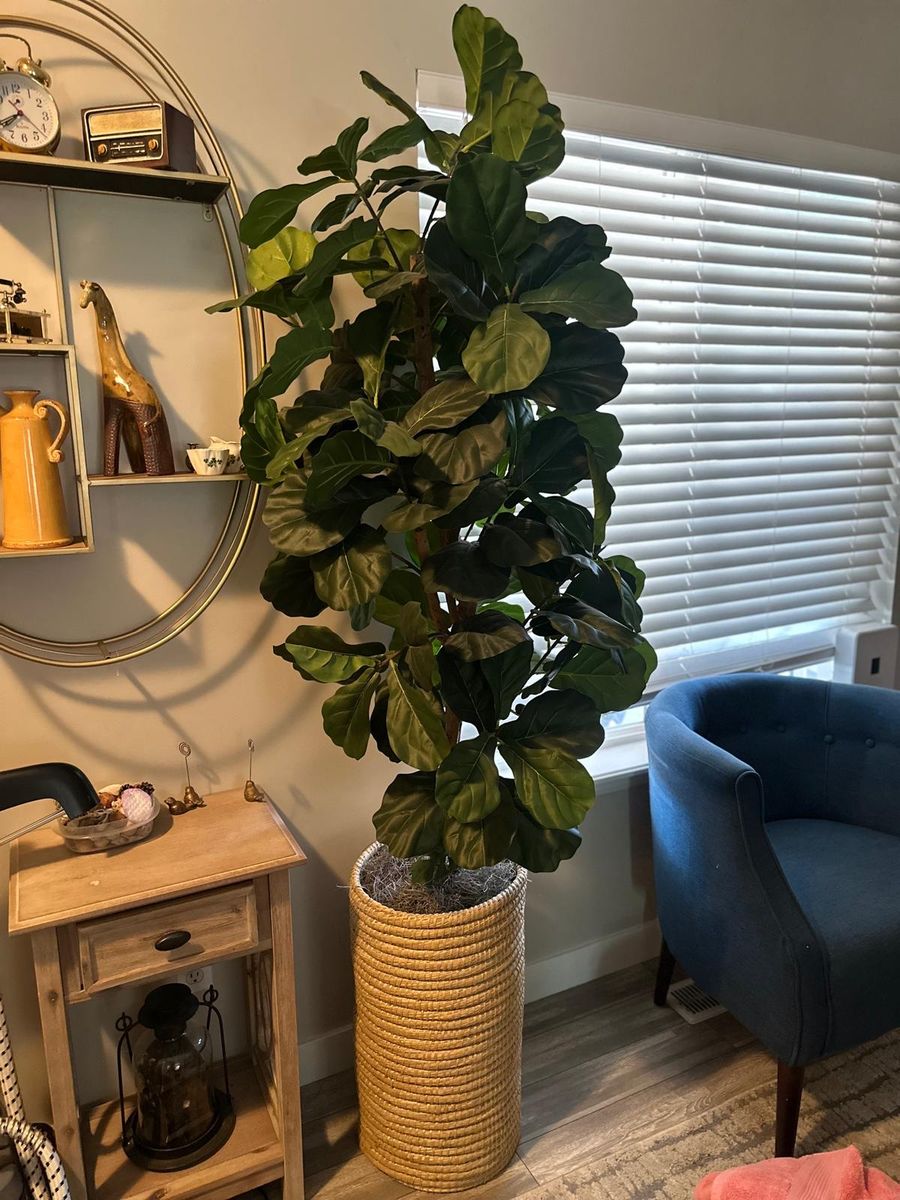Artificial Fiddle Leaf Fig Tree in Woven Cylinder Basket Planter