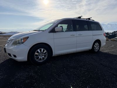 2010 HONDA ODYSSEY EX-L w/DVD