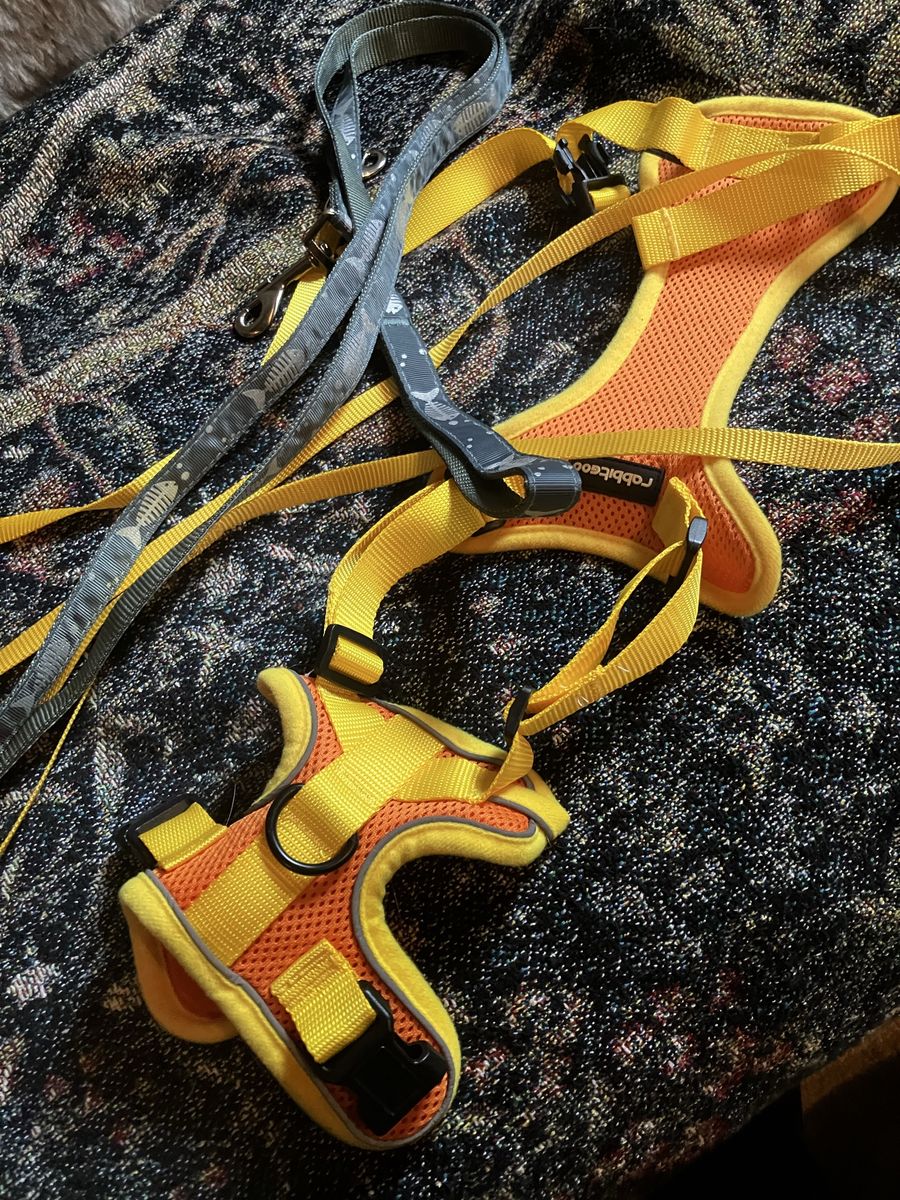 Cat Harness And Leashes