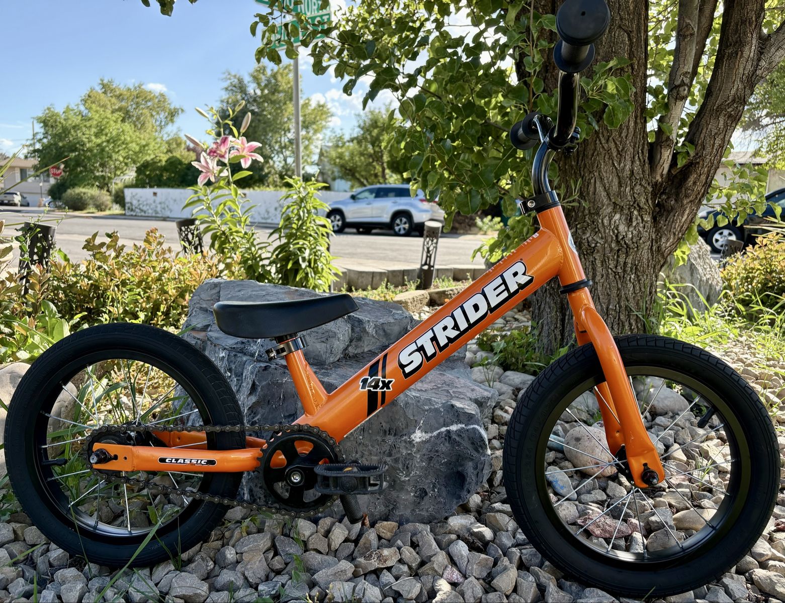 14” Strider Balance bike with pedal conversion kit