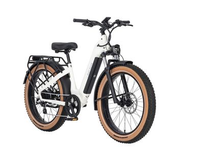 Electric bikes for rent $15/hour