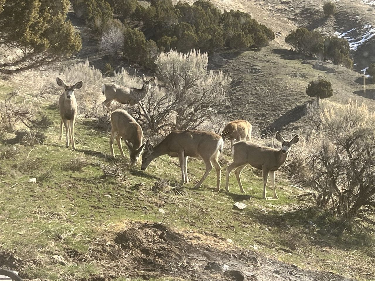 Main image 6