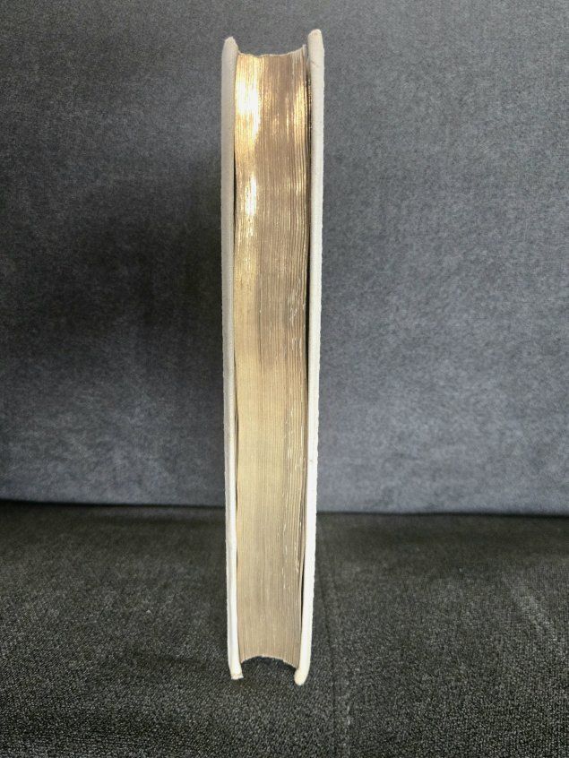 Main image 13