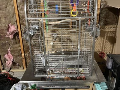 Bird cage on wheels!