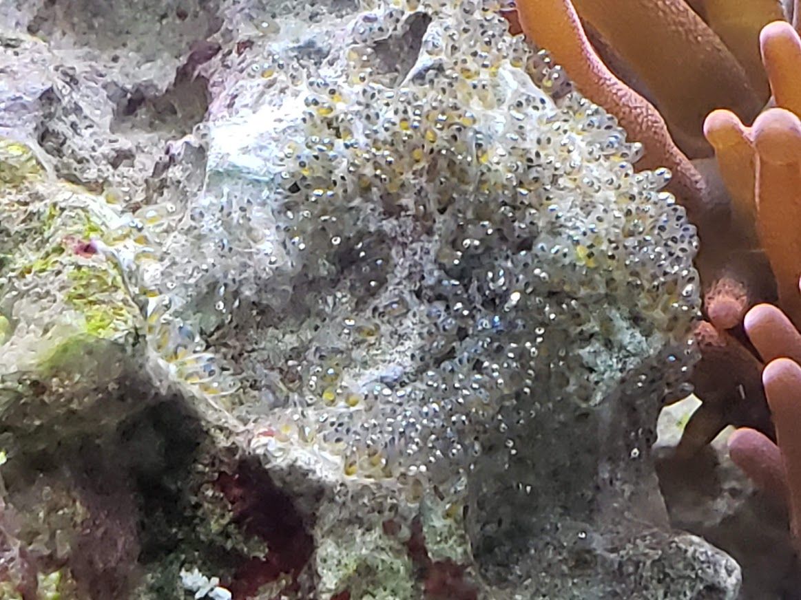 Main image 7