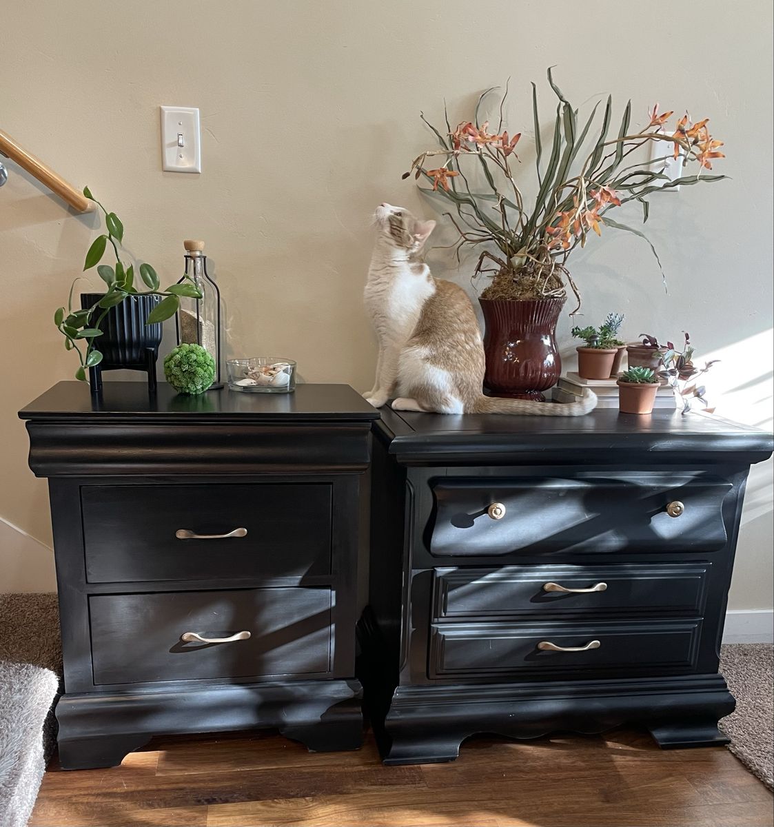 Two gorgeous solid wood nightstands