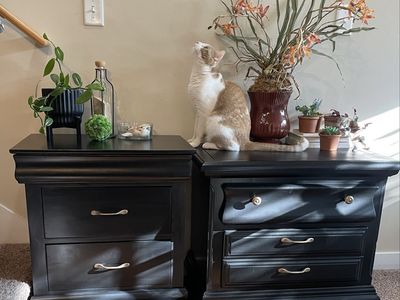 Two gorgeous solid wood nightstands