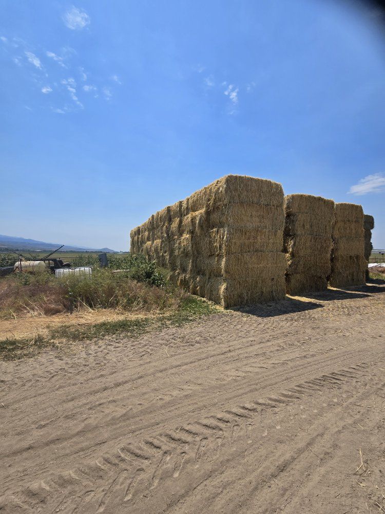 3 Way Hay