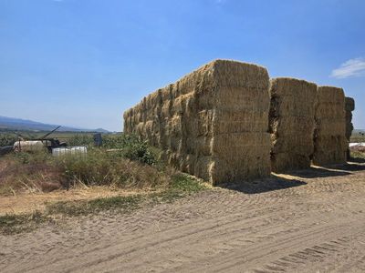 3 Way Hay