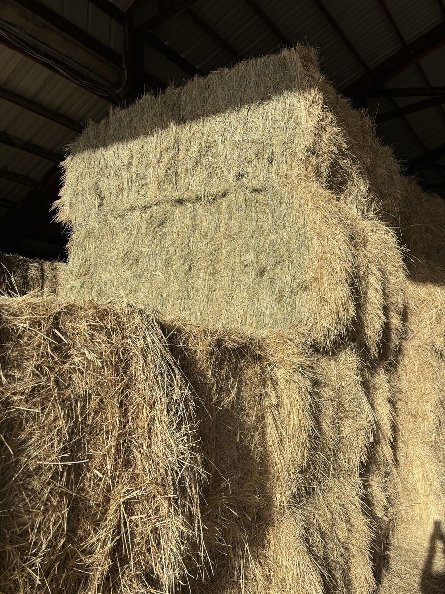 3x3x8 grass hay