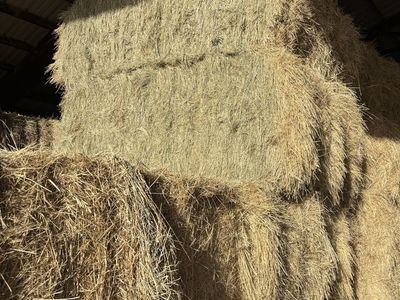 3x3x8 grass hay
