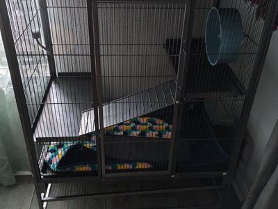 Large Multi-Tier Metal Pet Cage with Shelves, Ramps, and Wheel on Casters
