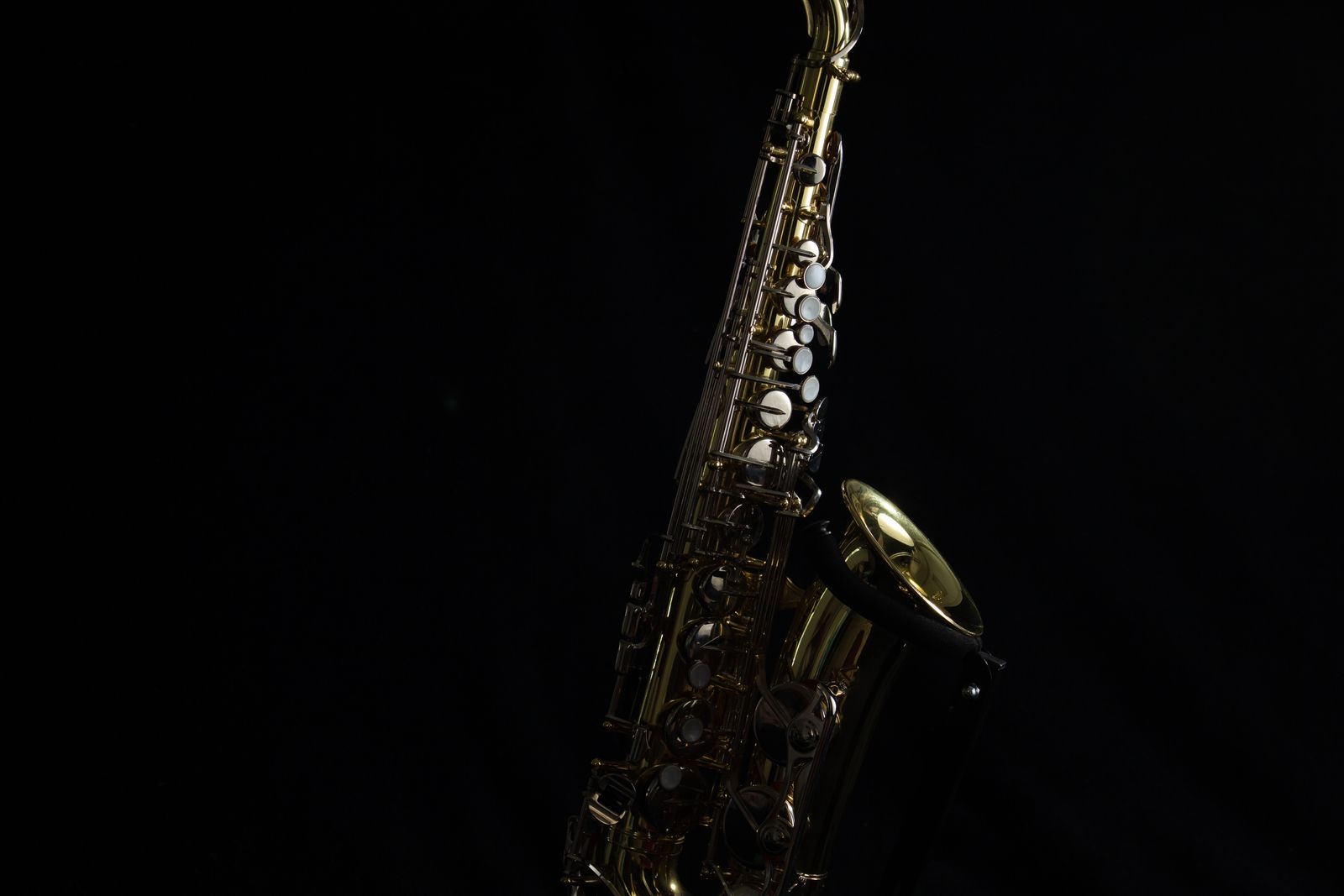 Saxophone (alto) - Yamaha YAS-23 ($950)