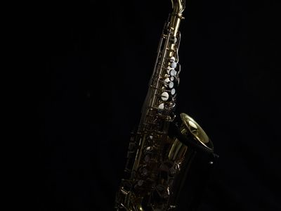 Saxophone (alto) - Yamaha YAS-23 ($950)